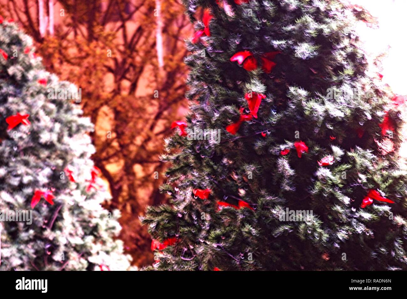 Decorazioni di Natale, luci di notti Foto Stock