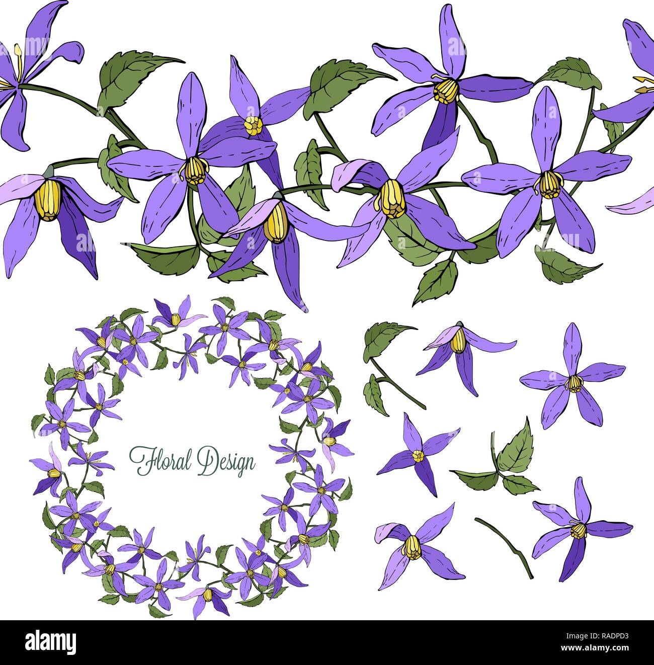 Set di clematis elementi floreali isolati su sfondo bianco, corona e spazzola senza giunture di fiori, illustrazione vettoriale Illustrazione Vettoriale