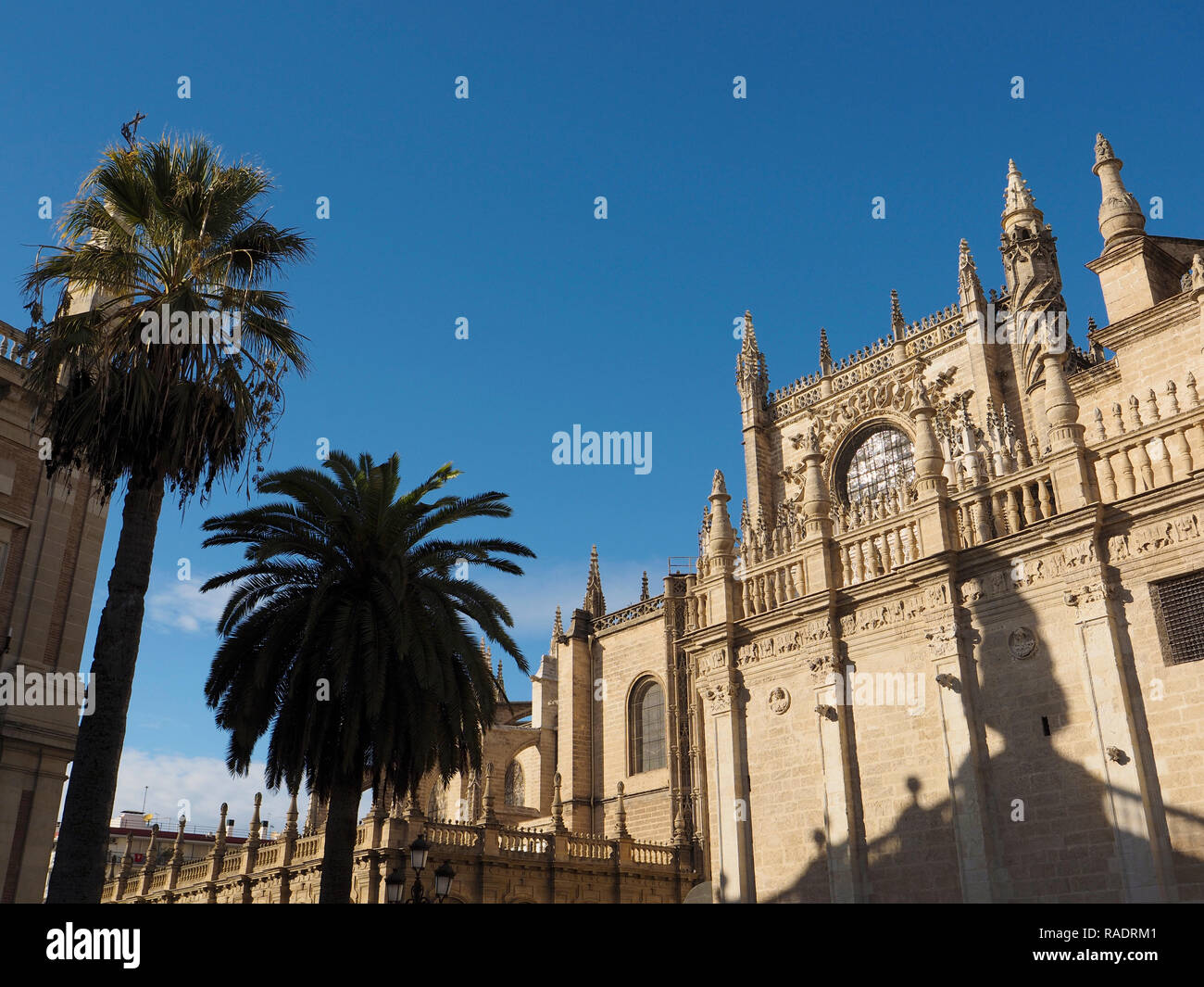 I dettagli architettonici della famosa cattedrale nel centro storico di Siviglia, in Andalusia, Spagna Foto Stock