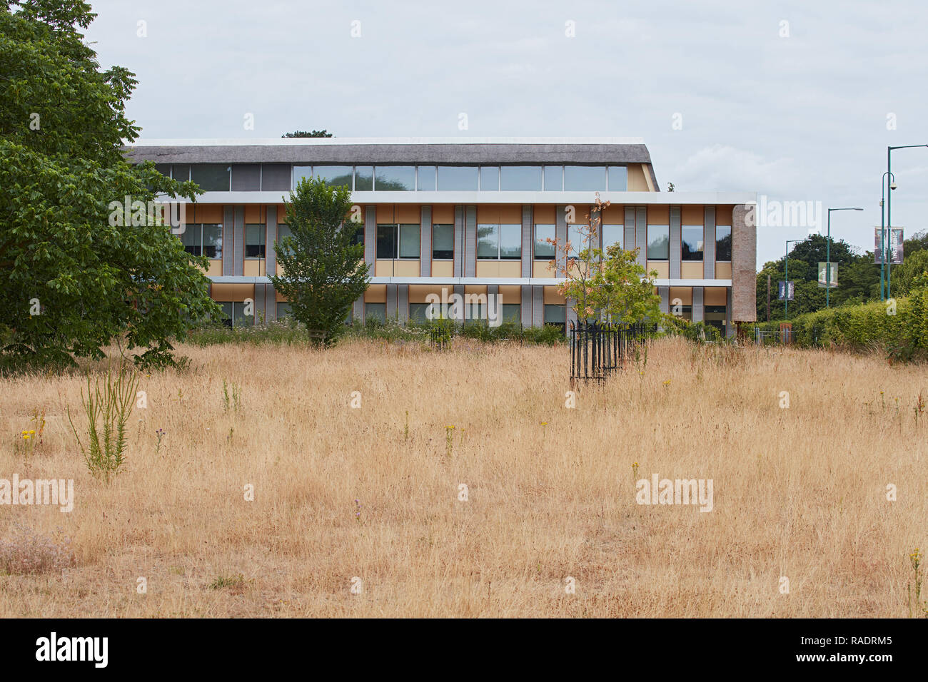 Ingresso posteriore vista dal parco durante il progetto. Il centro aziendale UEA, Norwich, Regno Unito. Architetto: Architype Limited, 2015. Foto Stock