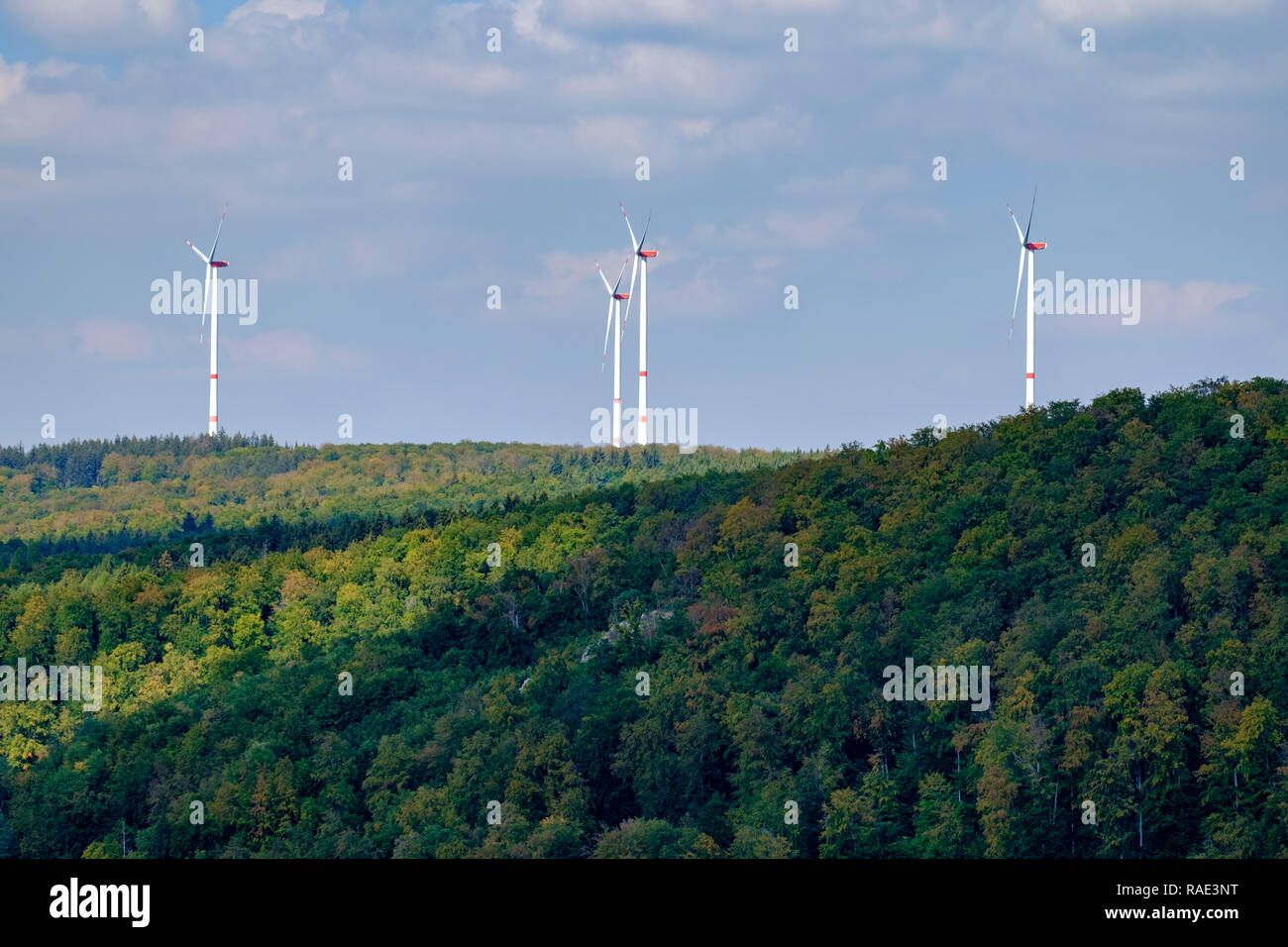 Il campo di energia di mulini a vento in una foresta in Germania Foto Stock