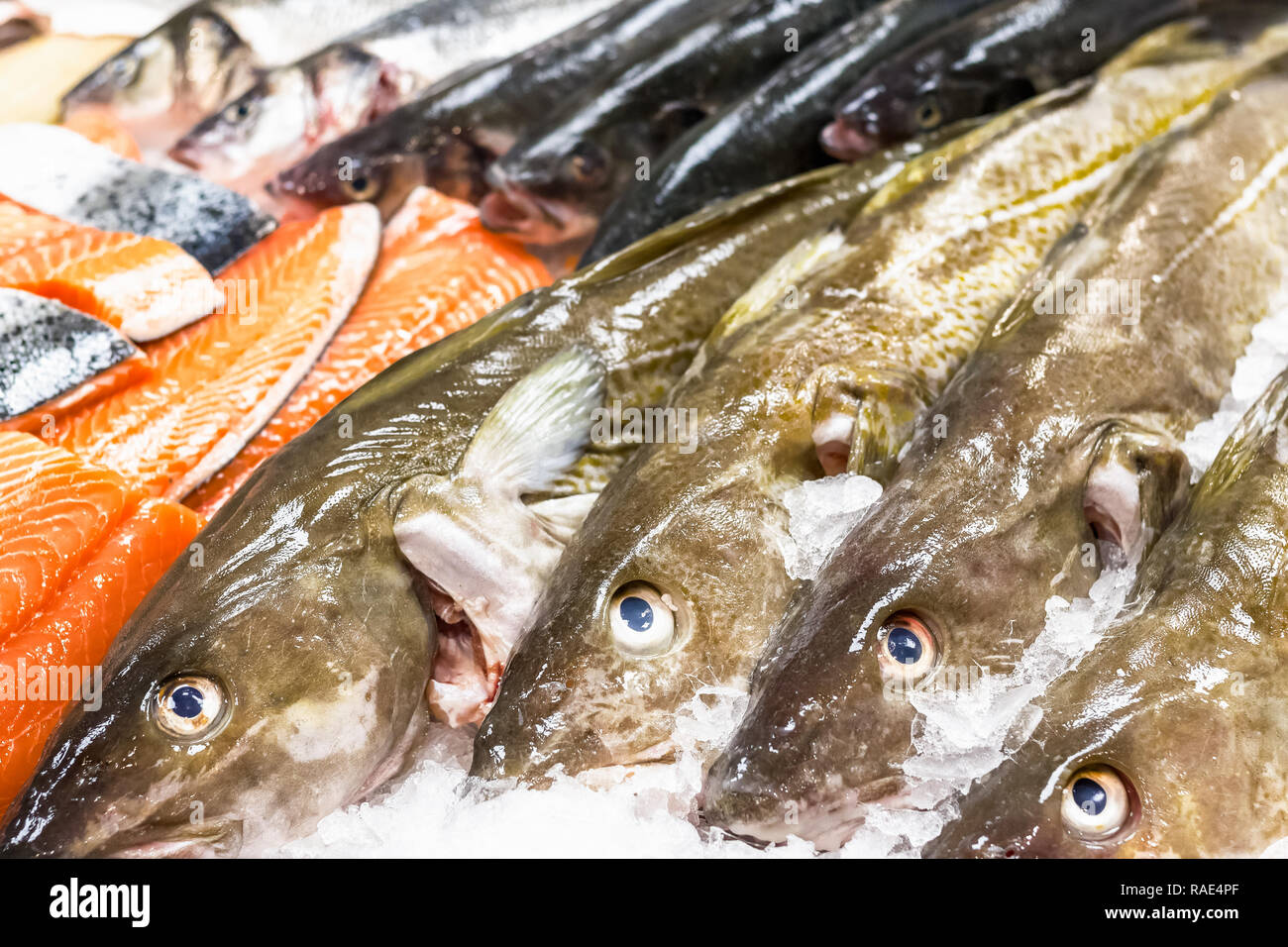 Fresh merluzzo bianco e di salmone su ghiaccio in vendita da un pescivendolo nella famosa località balneare Southwold DEL REGNO UNITO Foto Stock