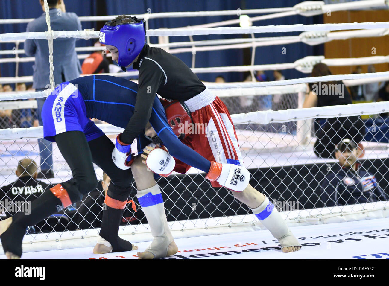 Orenburg, Russia - 18 febbraio 2017 anno: i lottatori competere nelle arti marziali miste nel campionato della regione di Orenburg su arti marziali miste Foto Stock
