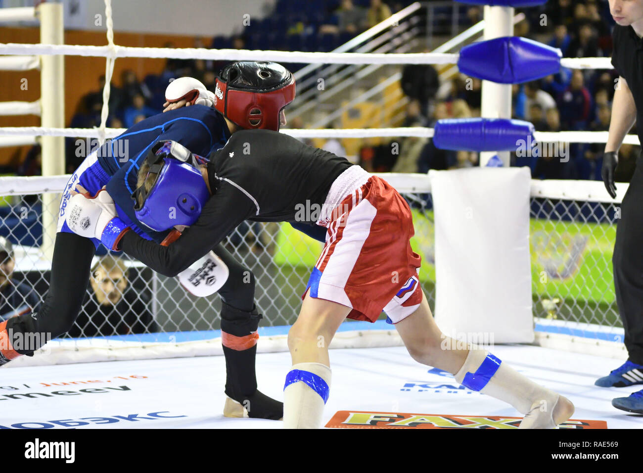 Orenburg, Russia - 18 febbraio 2017 anno: i lottatori competere nelle arti marziali miste nel campionato della regione di Orenburg su arti marziali miste Foto Stock