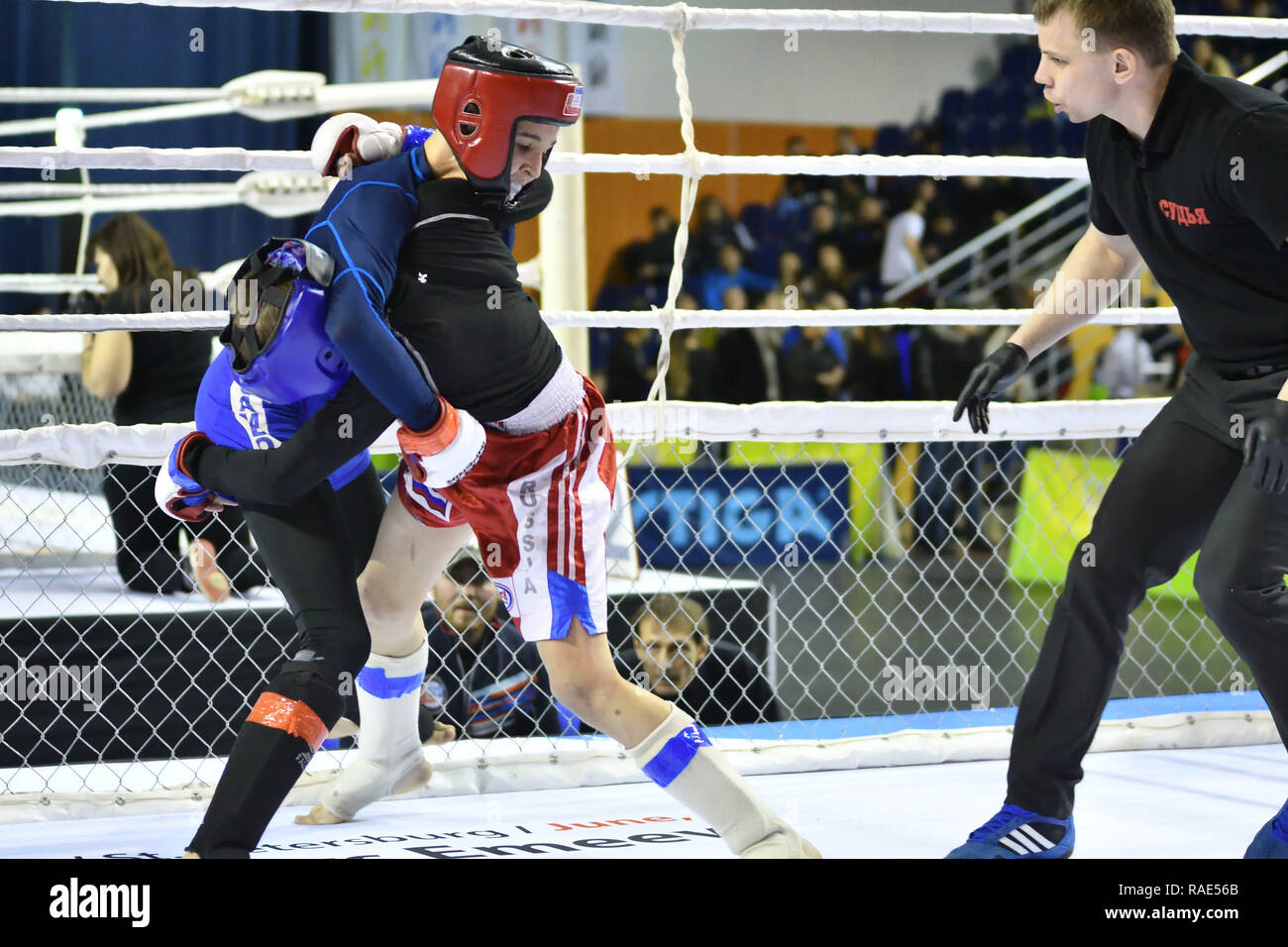 Orenburg, Russia - 18 febbraio 2017 anno: i lottatori competere nelle arti marziali miste nel campionato della regione di Orenburg su arti marziali miste Foto Stock