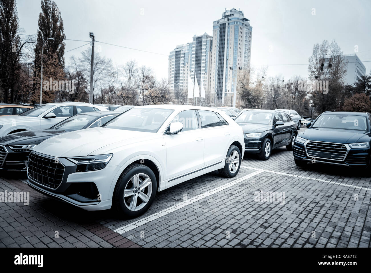 Nuove automobili di lusso in piedi in fila fuori per la presentazione Foto Stock