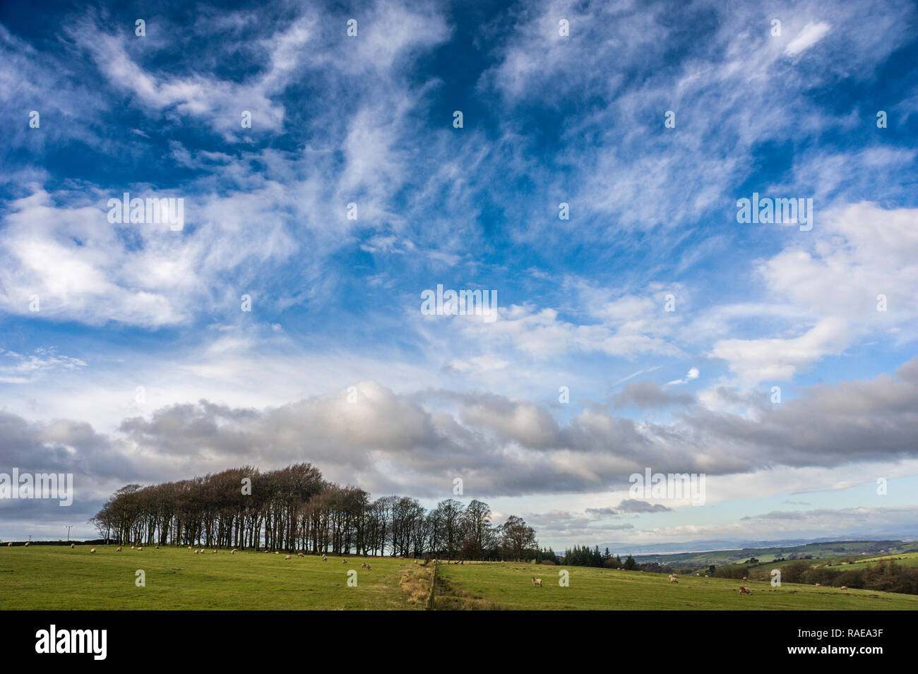 Big Sky in Littledale foresta di Bowland Lancashire Foto Stock