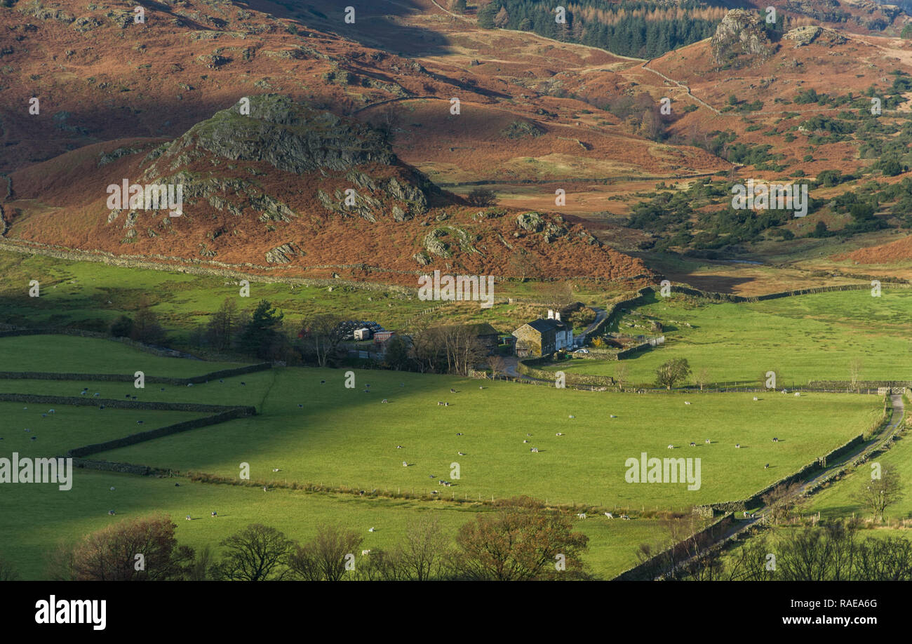 Castello Howe e cadde piedi Farm Little Langdale Cumbria Foto Stock