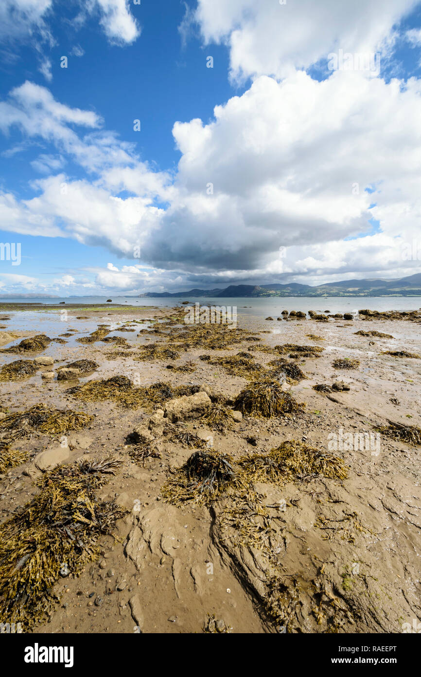 Menai Strait o strada Fryars guardando verso Lavan Sands sulla costa di Anglesey nel Galles del Nord e al Parco Nazionale di Snowdonia Foto Stock