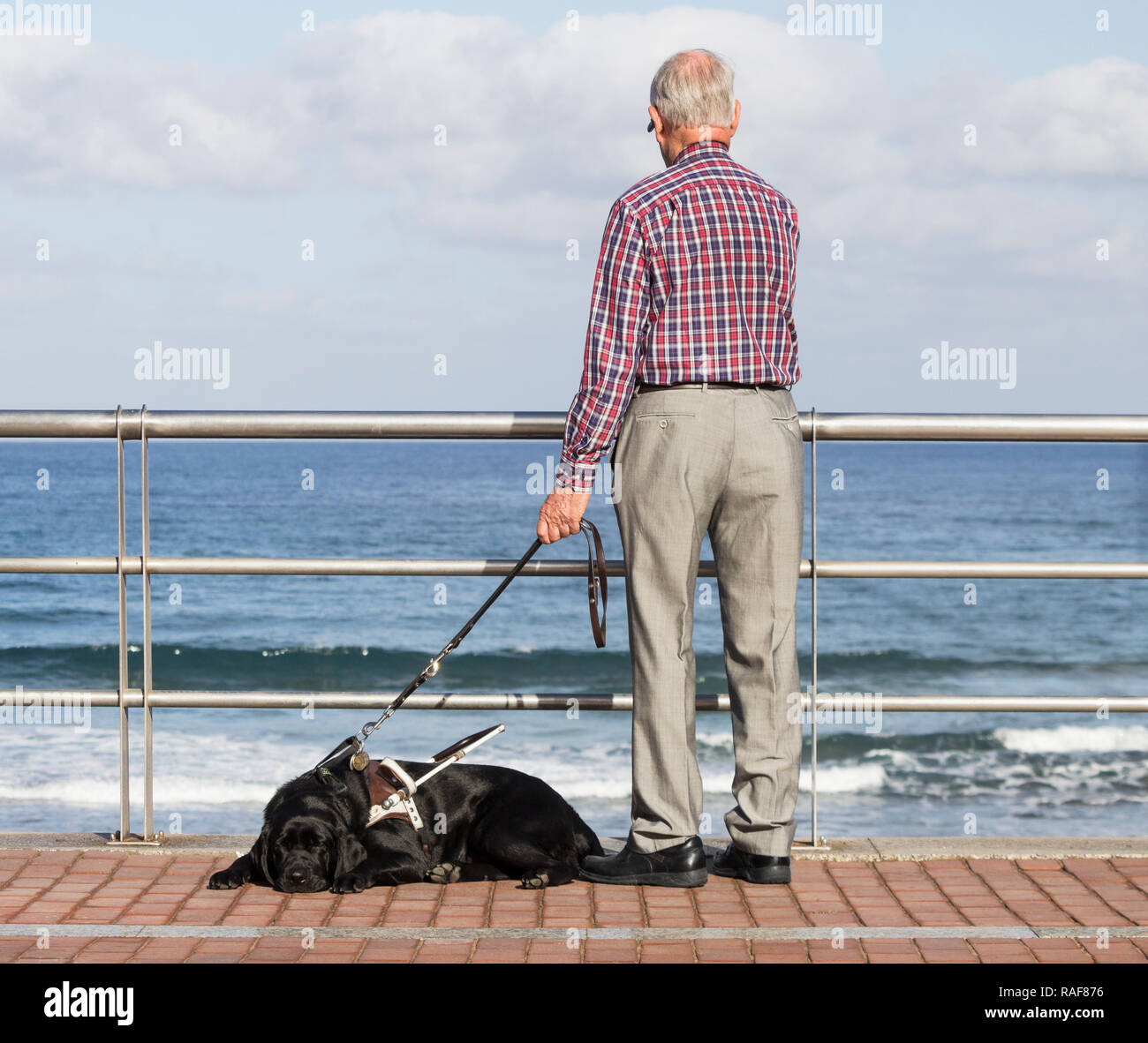 Uomo anziano con il nero Labrador cane guida. Foto Stock