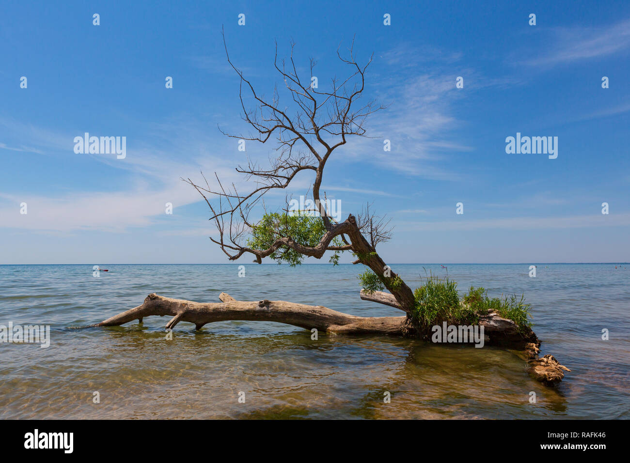 Beachgoers godetevi il sole a Southwick Beach State Park, città di Ellisburg, 21 giugno 2016. Foto Stock