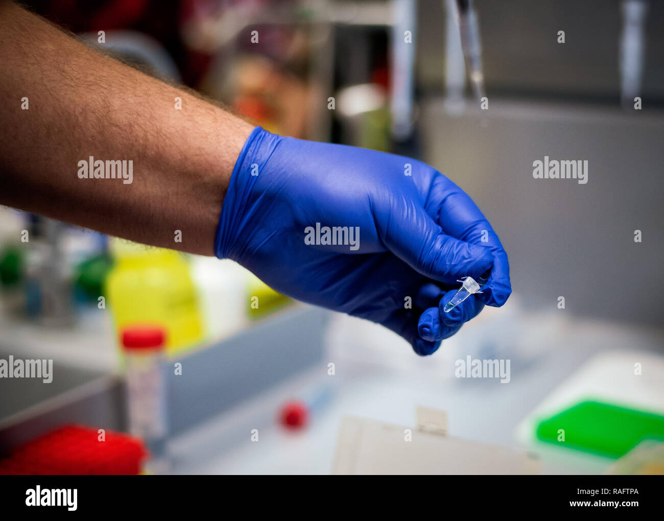 Mano che tiene in plastica di piccole dimensioni tubo eppendorf Foto Stock