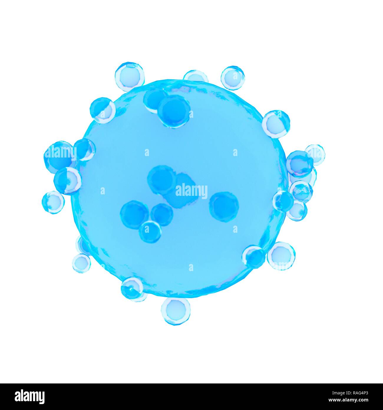 Illustrazione di un essere umano cellula uovo. Foto Stock