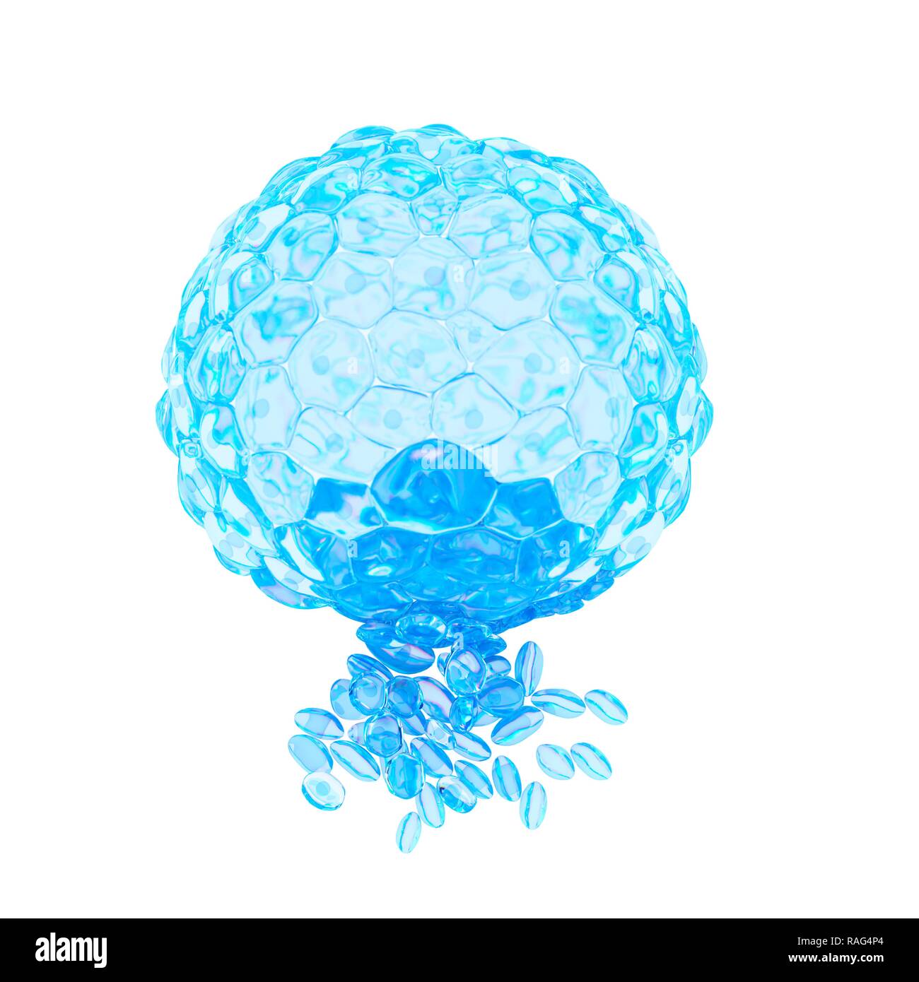 Illustrazione di un blastocisto. Foto Stock