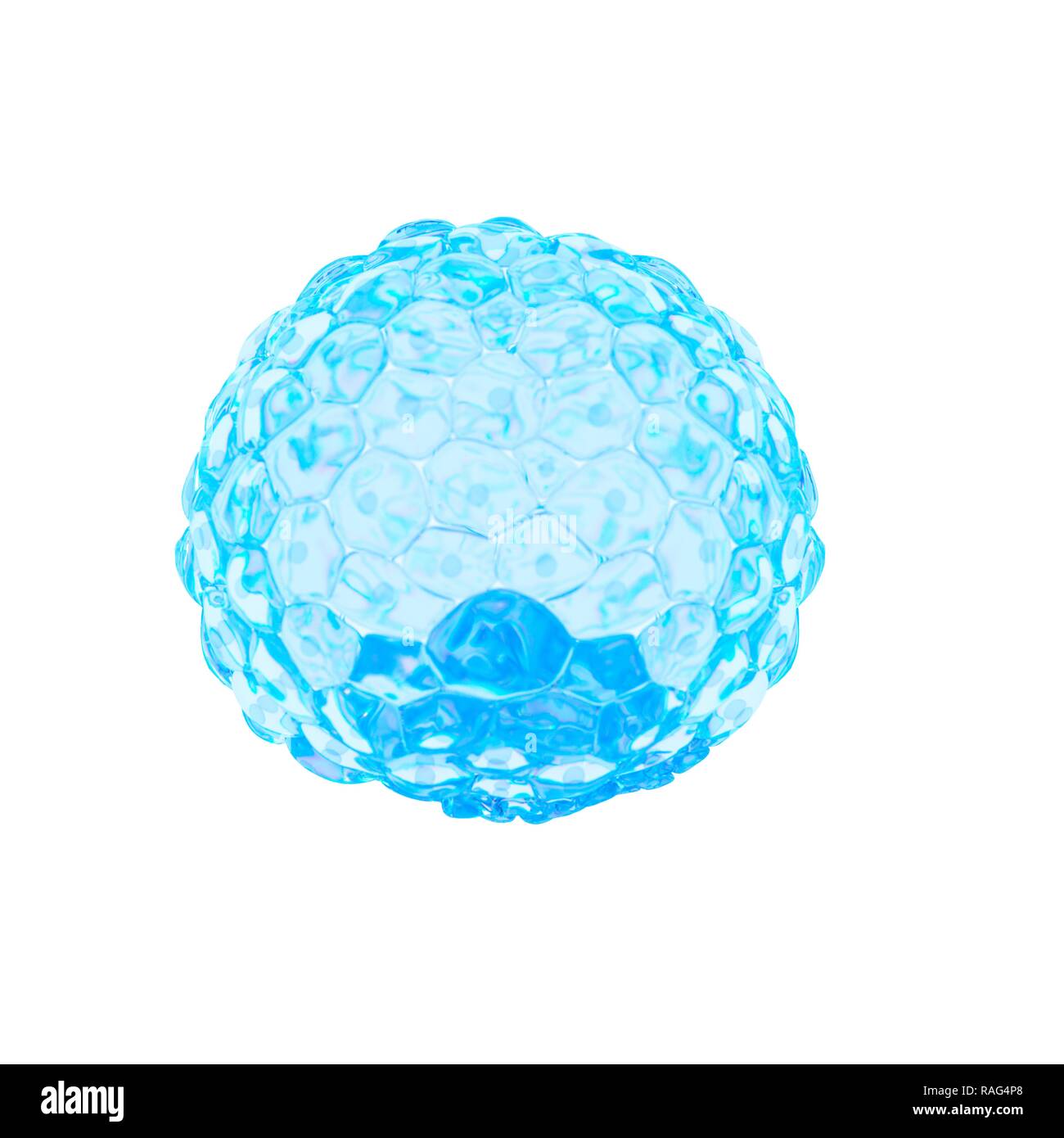 Illustrazione di un blastocisto. Foto Stock