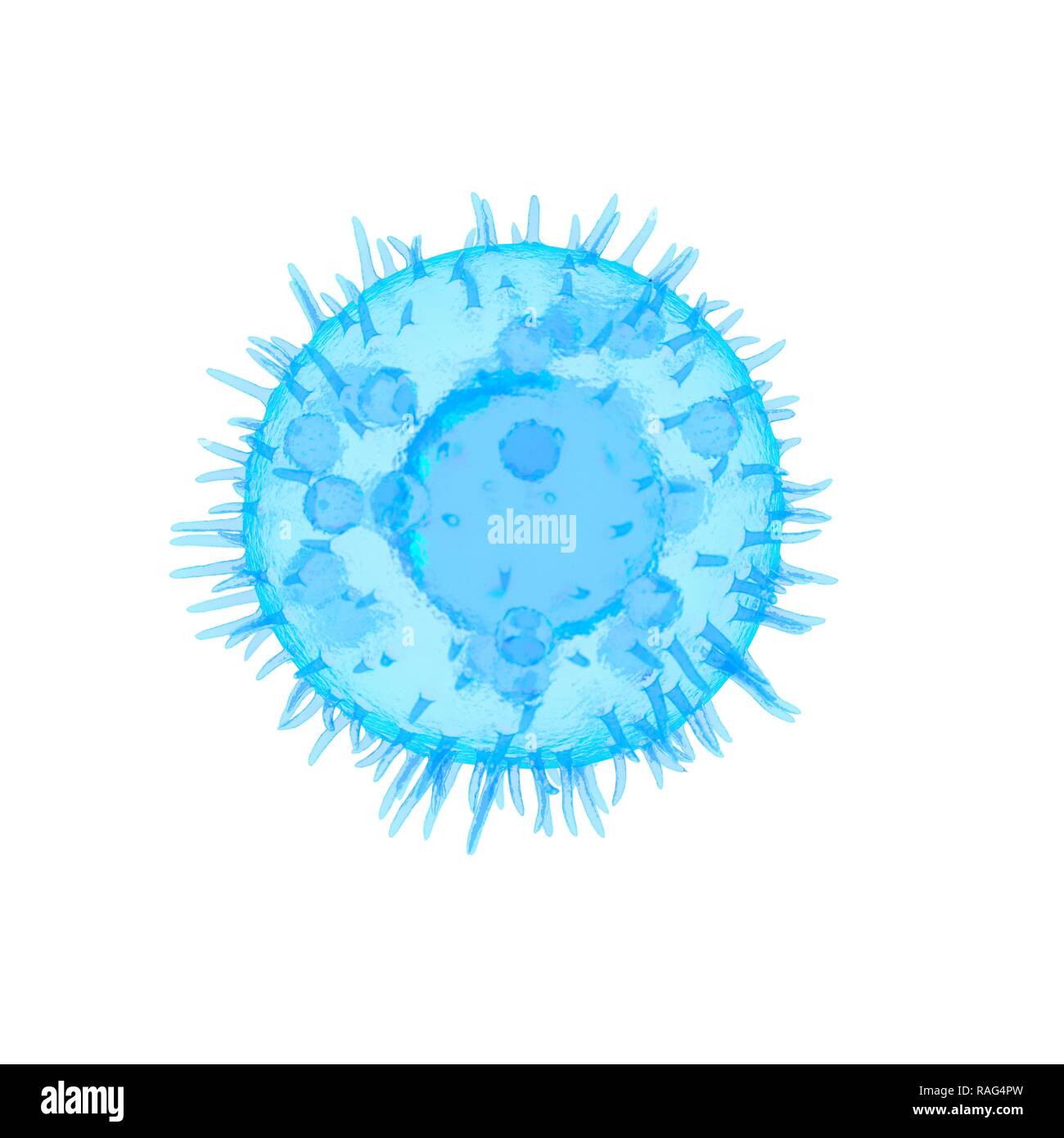 Illustrazione di una cella del montante. Foto Stock