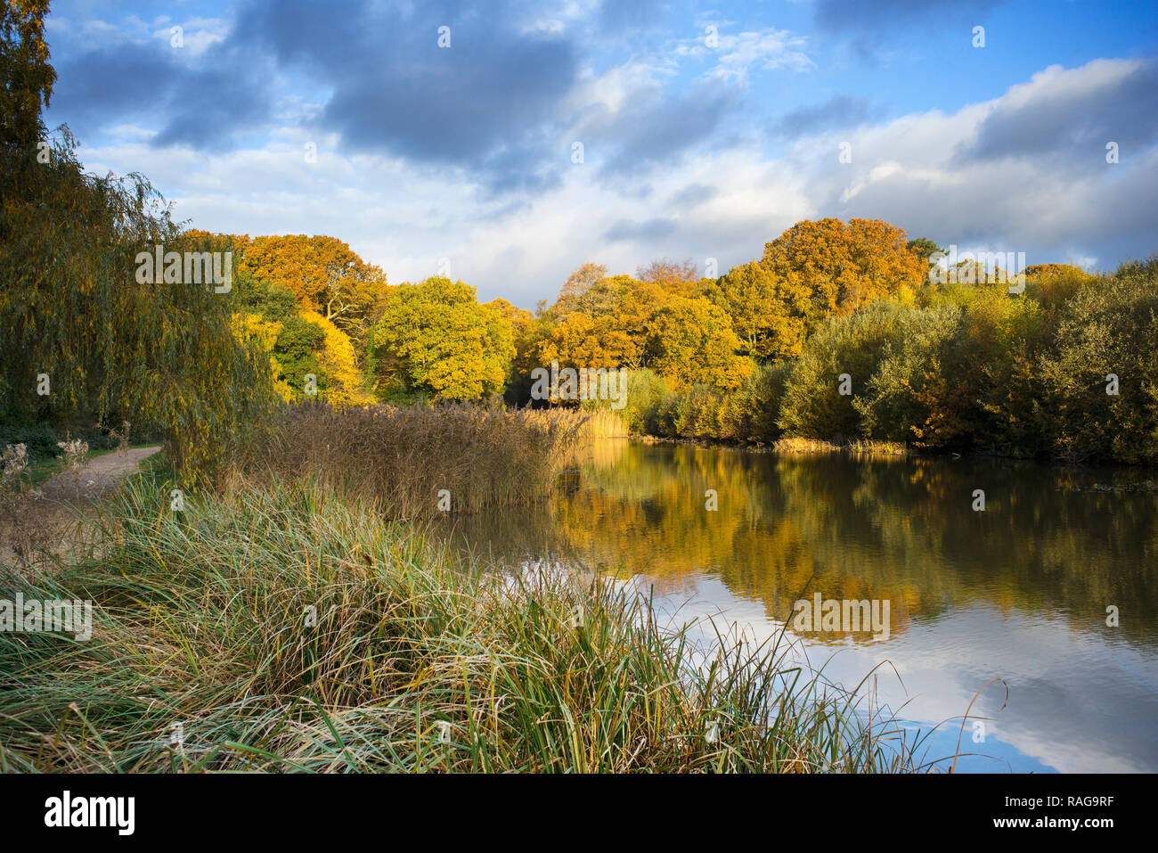 Il lago ornamentale su Southampton comune in autunno. Southampton, Inghilterra. Foto Stock