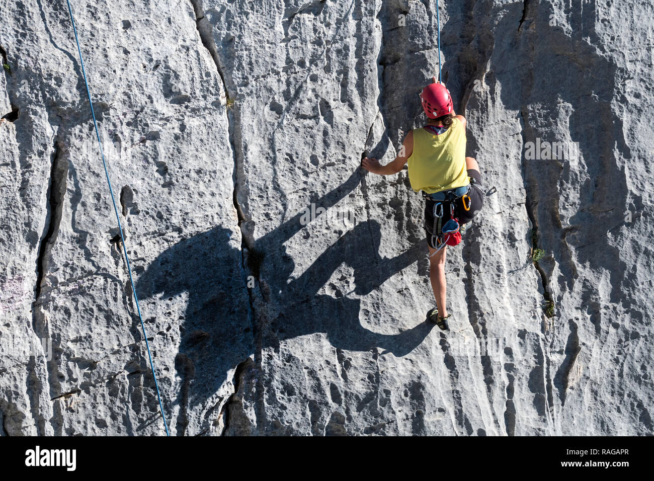 Scalatore di arrampicata roccia nelle Gorges du Verdon / Verdon Gorge  canyon, Alpes-de-Haute-Provence, Provence-Alpes-Côte d'Azur, in Francia  Foto stock - Alamy