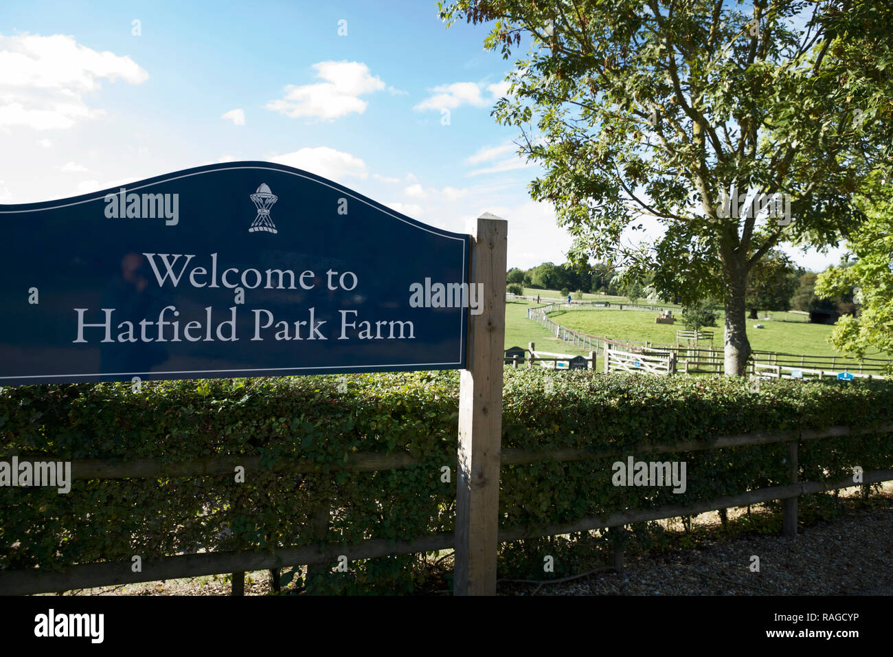 Hatfield Park Farm, Hertfordshire, Inghilterra. Foto Stock