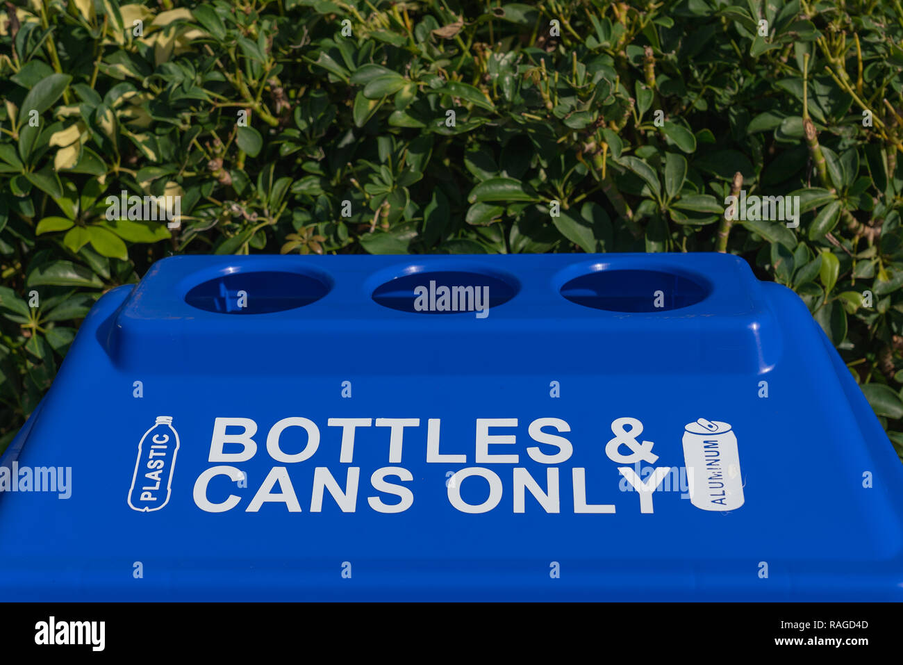 Blu in plastica del contenitore di riciclaggio di bottiglie e lattine solo contro una siepe di cespugli verdi Foto Stock