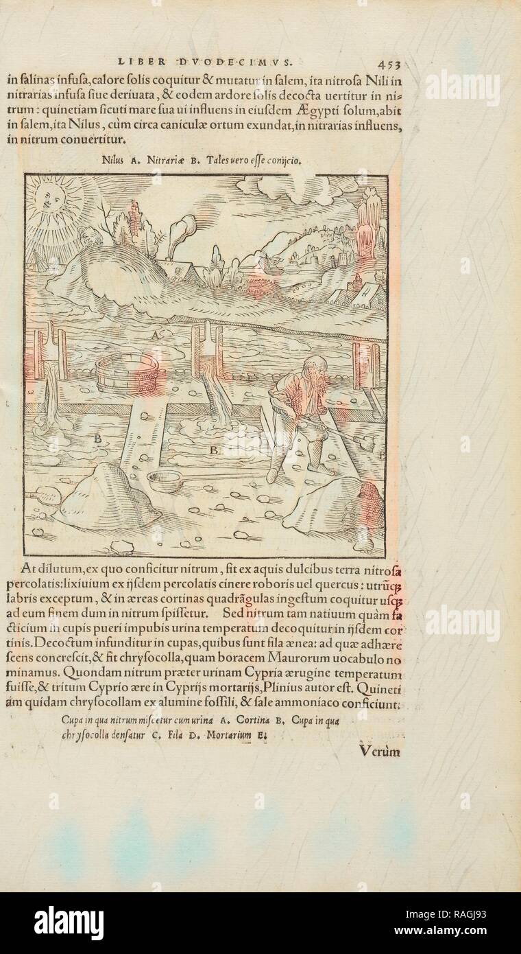 Pagina 453 Georgii Agricolae De re metallica: libri XII. Quibus officia, instrumenta, machinae, ac omnia deni, que, annuncio reinventato Foto Stock