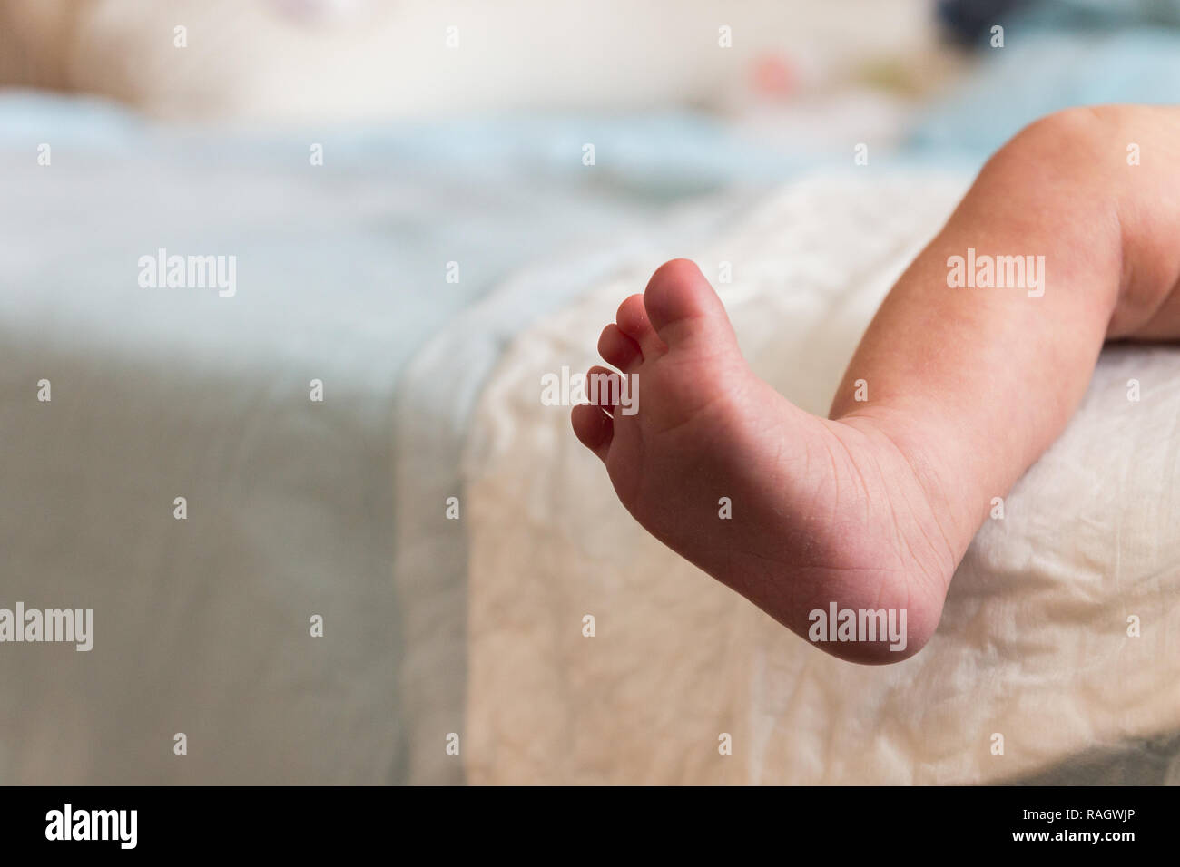 Il piccolo piede del neonato. Sfondo sfocato. Foto Stock