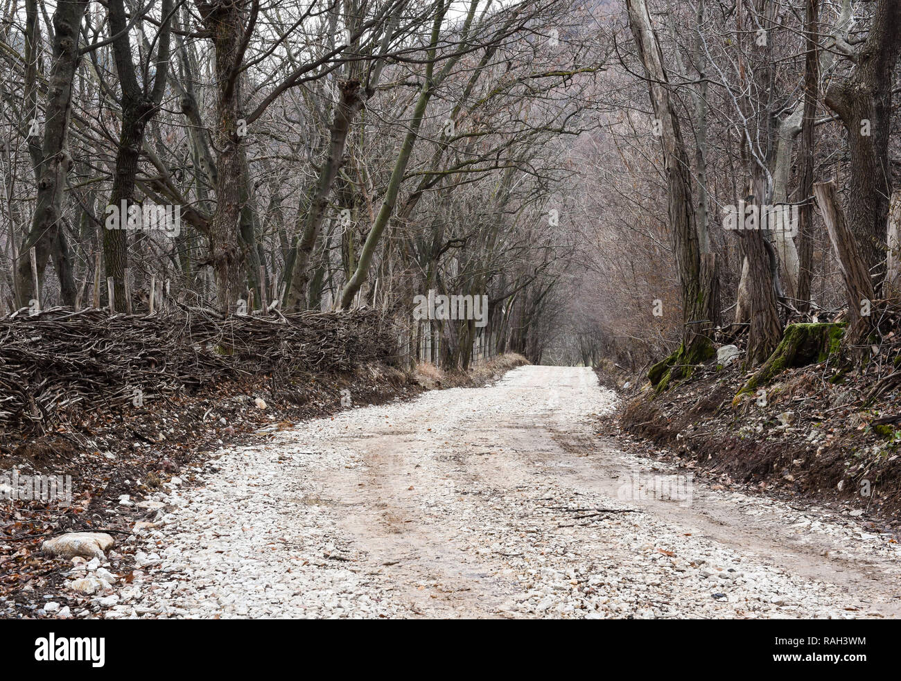 Strade di ghiaia in oriente Serbia Foto Stock