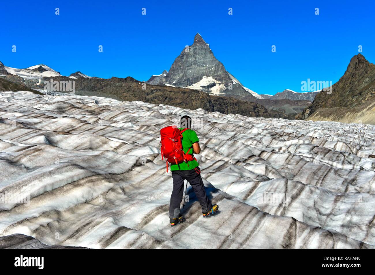Escursionista guarda oltre la superficie solcata del ghiacciaio Gorner sul Cervino, Zermatt, Vallese, Svizzera Foto Stock