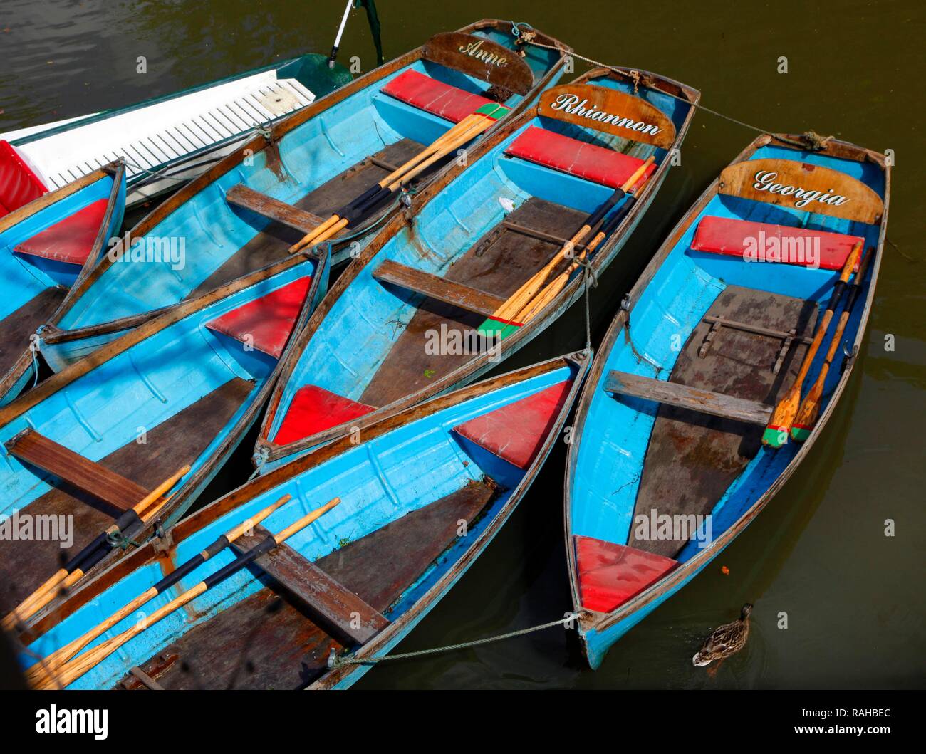 Barche a remi, noleggio barche sul fiume Cherwell, jetty di Magdalen Bridge, Oxford, Oxfordshire, Regno Unito, Europa Foto Stock