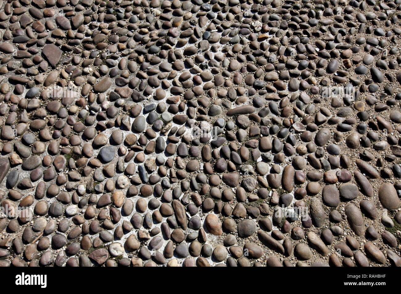 Ciottoli, varie forme, annegato nel calcestruzzo, pavimento Foto Stock