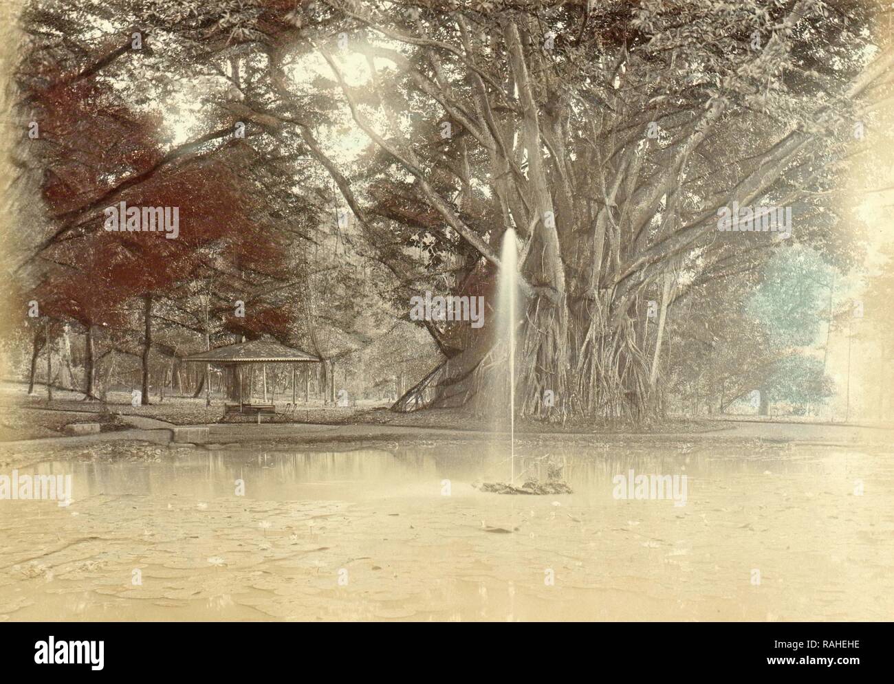 Parco con un laghetto con un grande albero nelle Indie orientali olandesi, anonimo, c. 1895 - c. 1905. Reinventato da Gibon. Classic reinventato Foto Stock