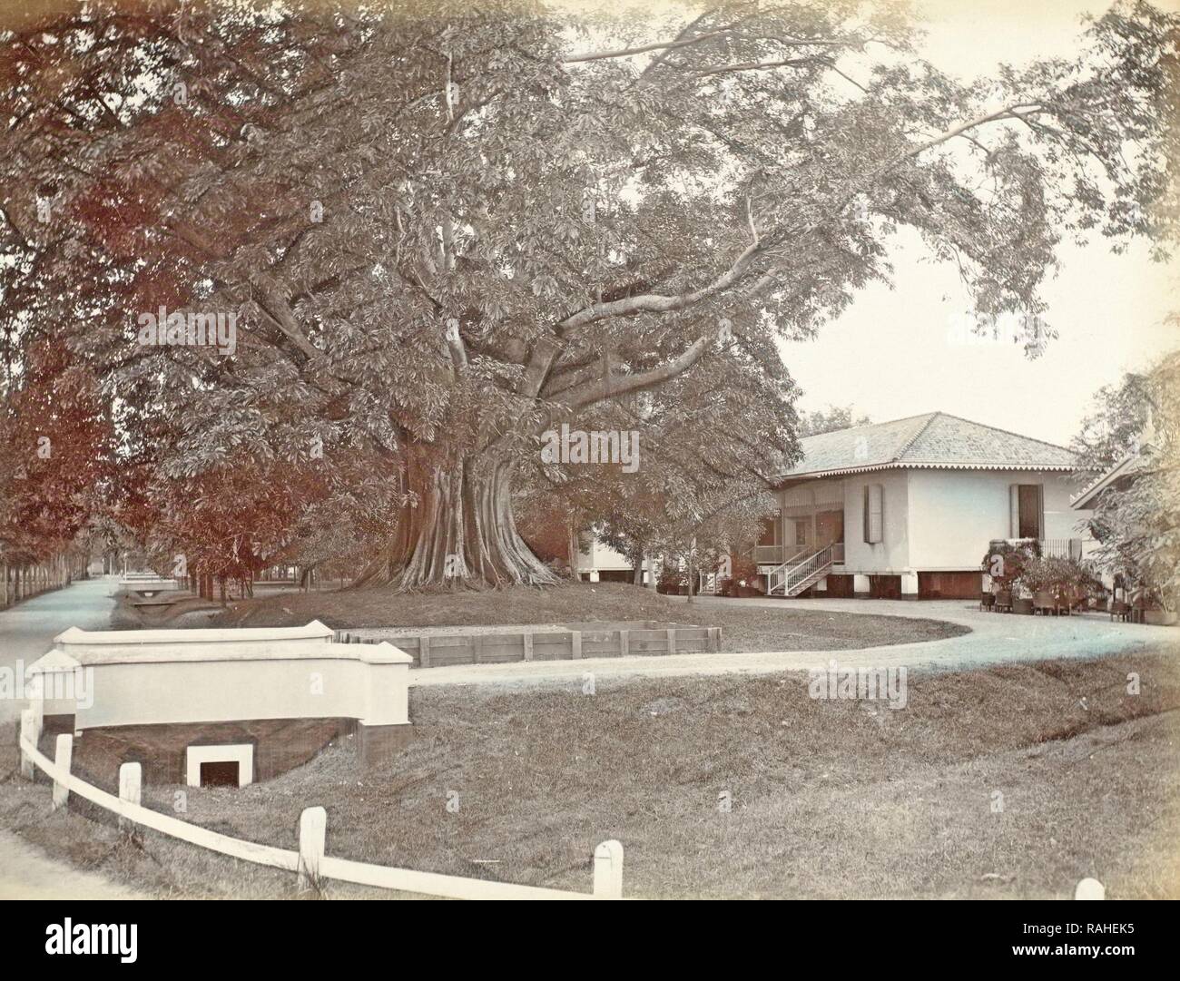 Viale di accesso di una villa in Indie orientali olandesi, anonimo, c. 1895 - c. 1905. Reinventato da Gibon. Arte Classica con un reinventato Foto Stock