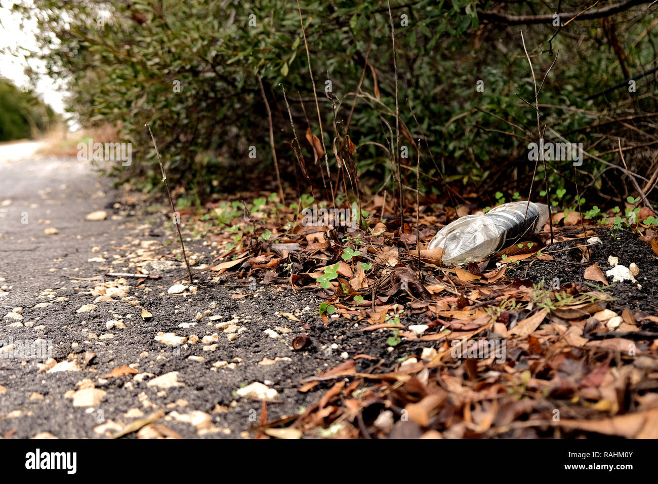 Schiacciato la bottiglia di plastica dal lato della strada; plastica inquinamento; cestino sul lato della strada. Foto Stock