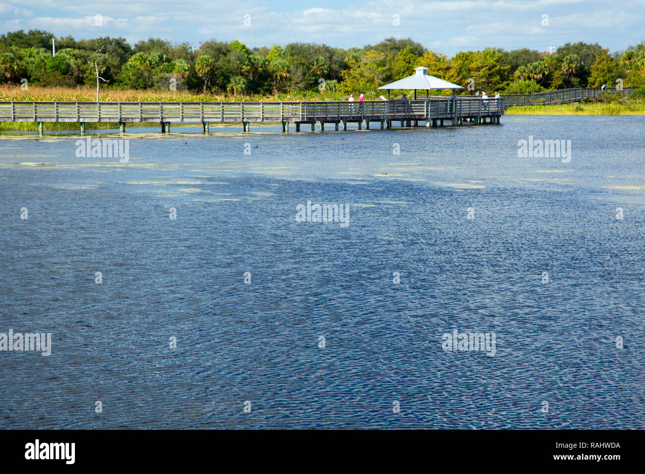 Il Boardwalk, Verde Cay Centro Natura, Boynton Beach, Florida Foto Stock