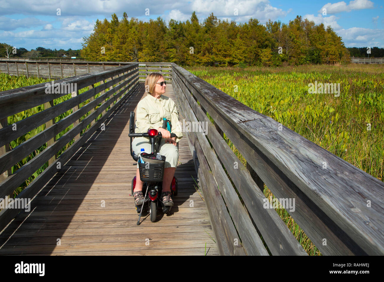 Il Boardwalk, Verde Cay Centro Natura, Boynton Beach, Florida Foto Stock