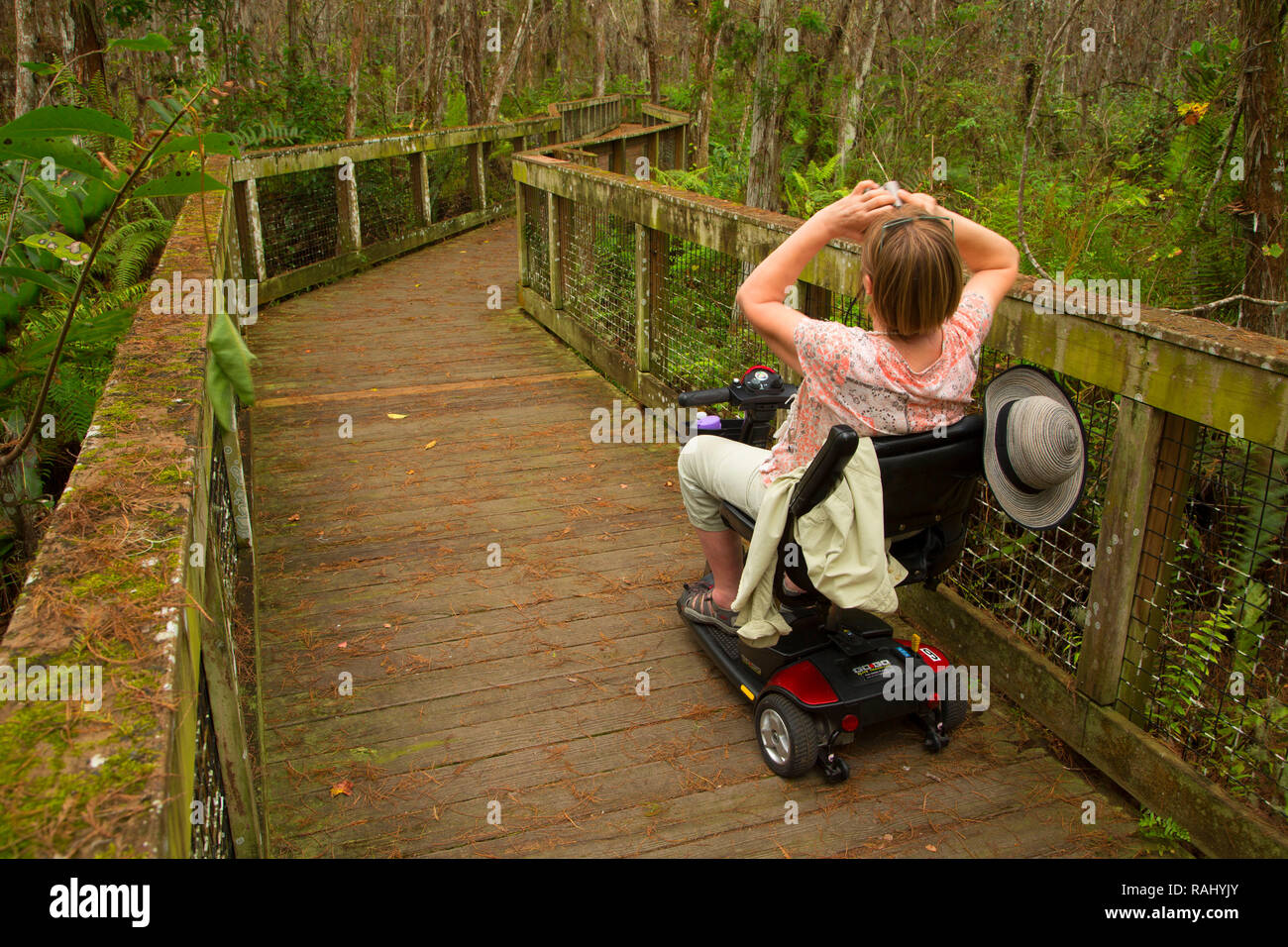 Mobilità scooter on Cypress Swamp Boardwalk, Arthur R. Marshall Loxahatchee National Wildlife Refuge, Florida Foto Stock
