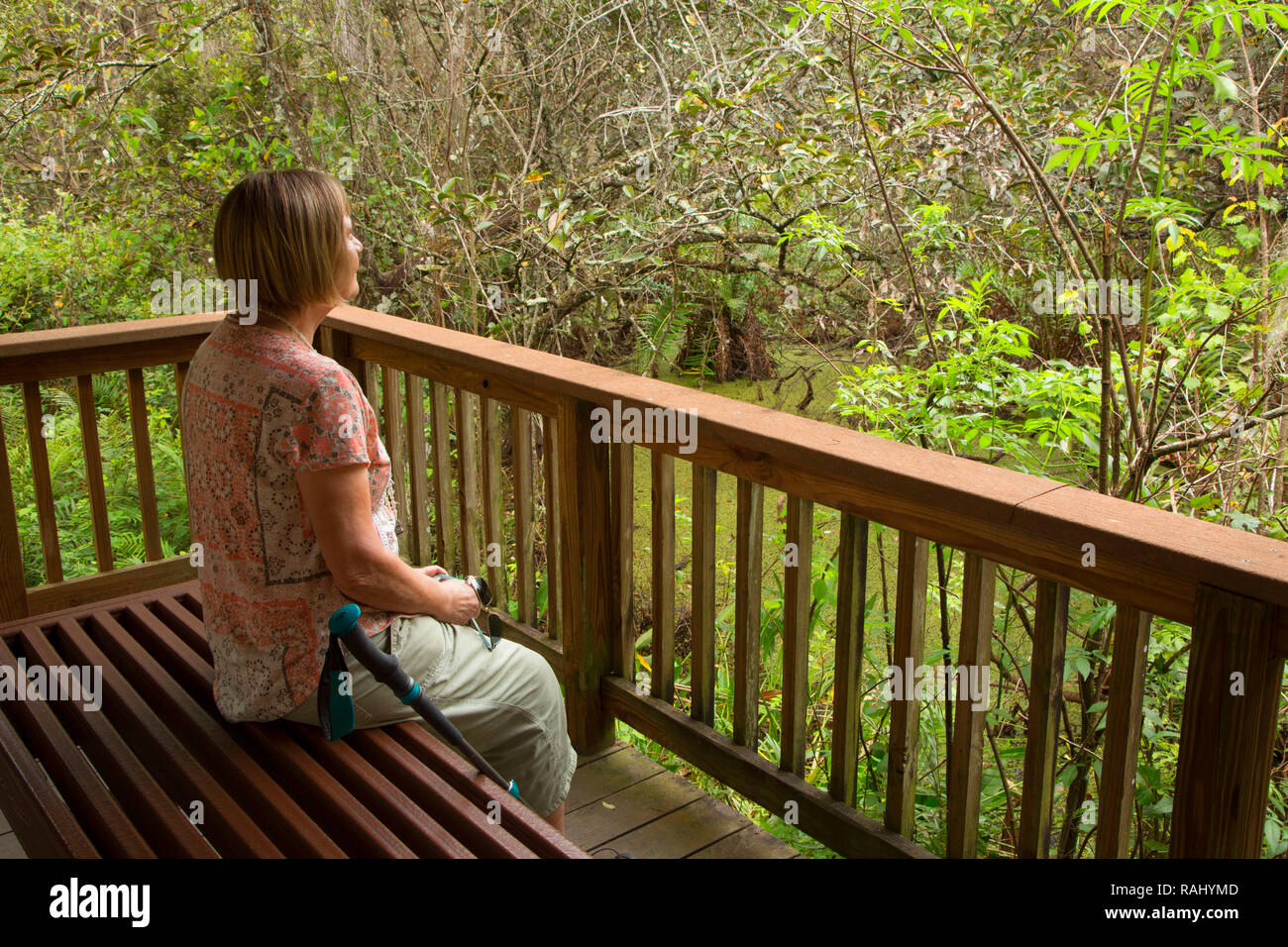 Visualizzazione di panca su Cypress Swamp Boardwalk, Arthur R. Marshall Loxahatchee National Wildlife Refuge, Florida Foto Stock