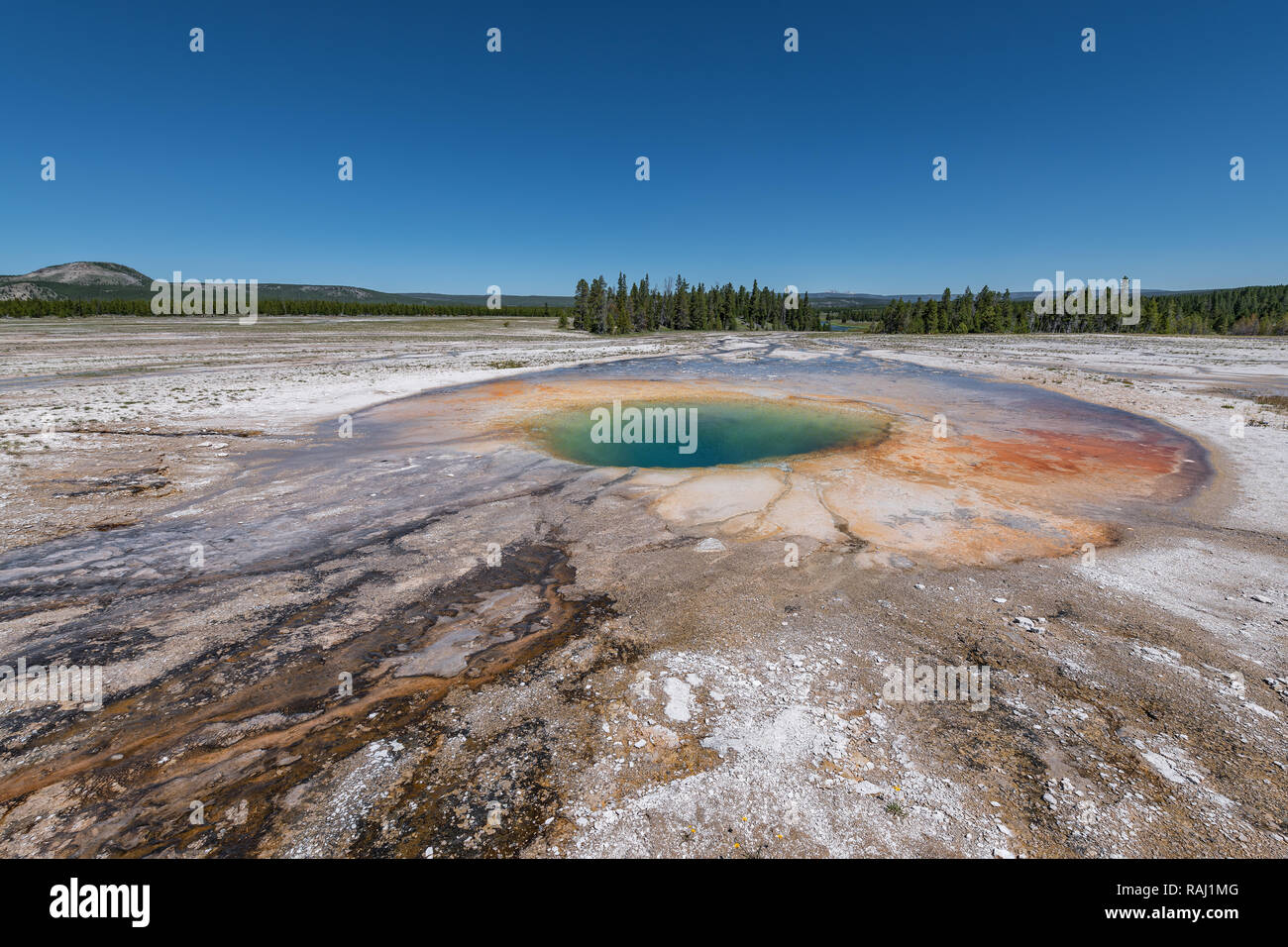 Colorato Hot Springs in Grand Prismatic Parco Nazionale di Yellowstone, Wyoming USA Foto Stock