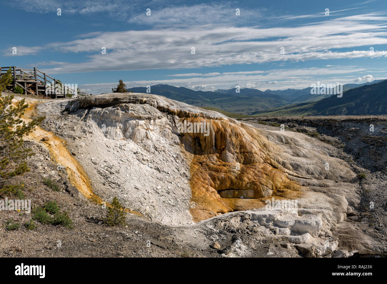 Mammoth Hot Springs è un grande complesso di molle calde su una collina di travertino nel Parco Nazionale di Yellowstone. Il Wyoming, STATI UNITI D'AMERICA Foto Stock