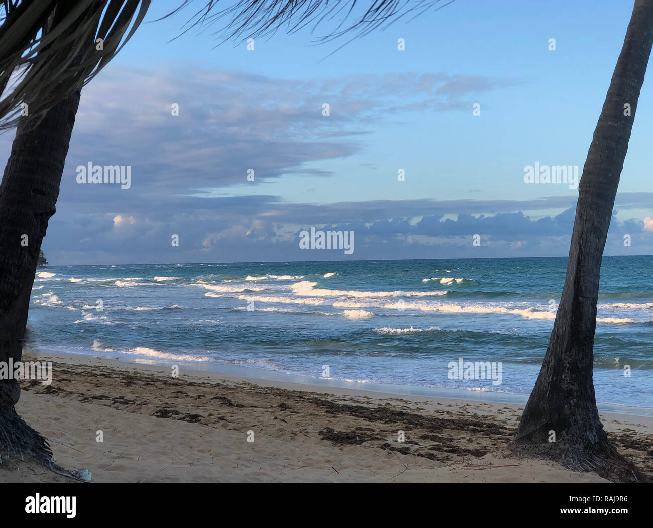 PLAYA Cana nella Repubblica Dominicana. Foto: Tony Gale Foto Stock