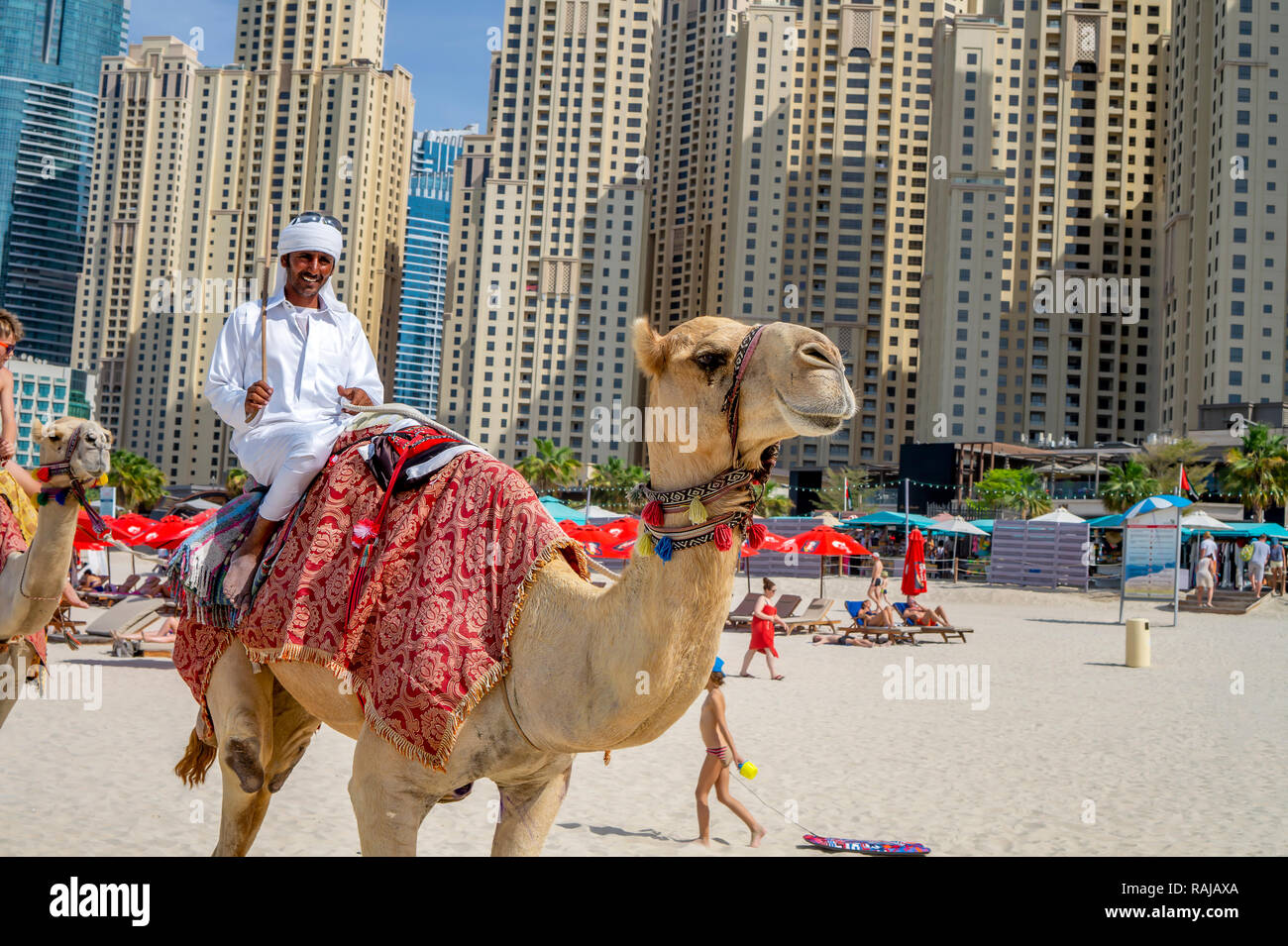 Dubai, UAE / 10.31.2018 : autentico giro in cammello sul JBR Jumeirah Beach con un uomo arabo sul cammello Foto Stock