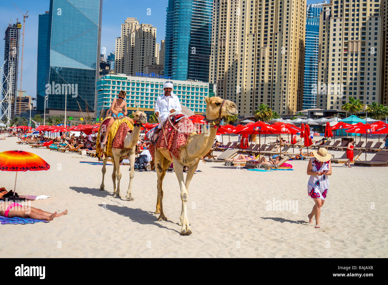 Dubai, UAE / 10.31.2018 : autentico giro in cammello sul JBR Jumeirah Beach con un uomo arabo sul cammello Foto Stock