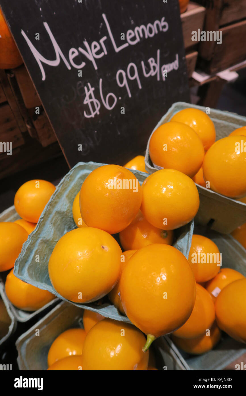 I limoni Meyer in vendita presso green grocer, STATI UNITI D'AMERICA Foto Stock