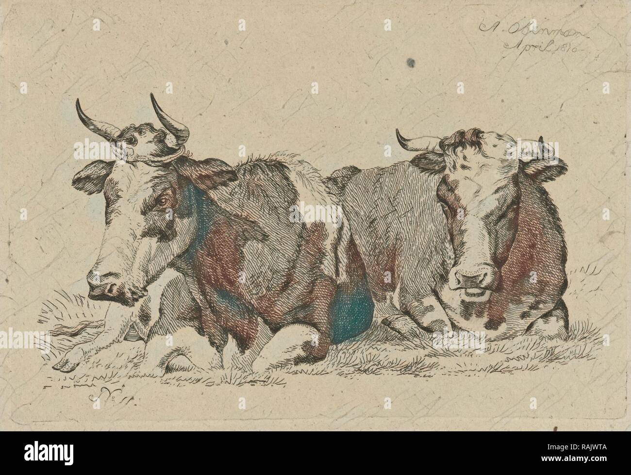 Due mucche reclinabili, Anthony Oberman, 1810. Reinventato da Gibon. Arte Classica con un tocco di moderno reinventato Foto Stock