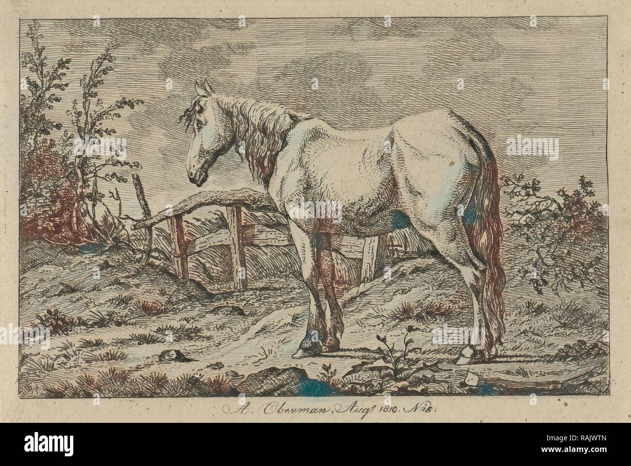 Cavallo singolo, Anthony Oberman, 1810. Reinventato da Gibon. Arte Classica con un tocco di moderno reinventato Foto Stock