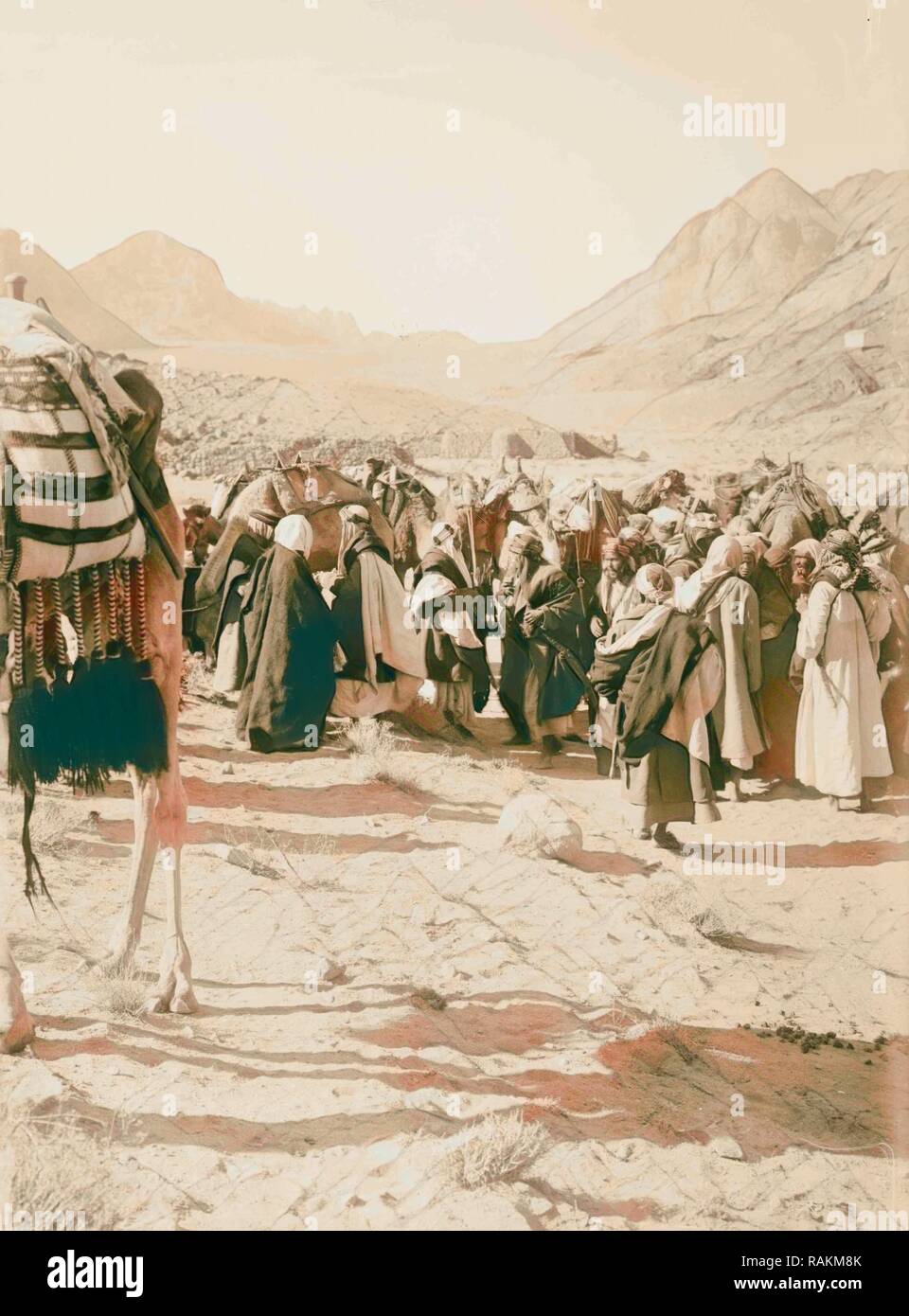 Raccolta beduino. 1898, Medio Oriente. Reinventato da Gibon. Arte Classica con un tocco di moderno reinventato Foto Stock