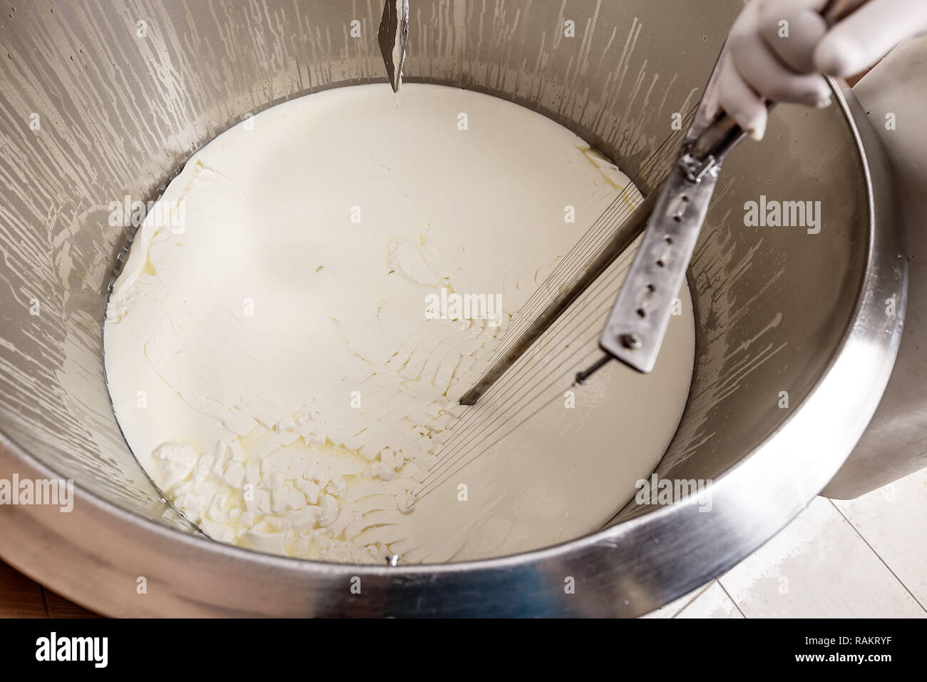 Uomo di latte di miscelazione in acciaio inox serbatoio durante il processo di fermentazione alla produzione di formaggio Foto Stock