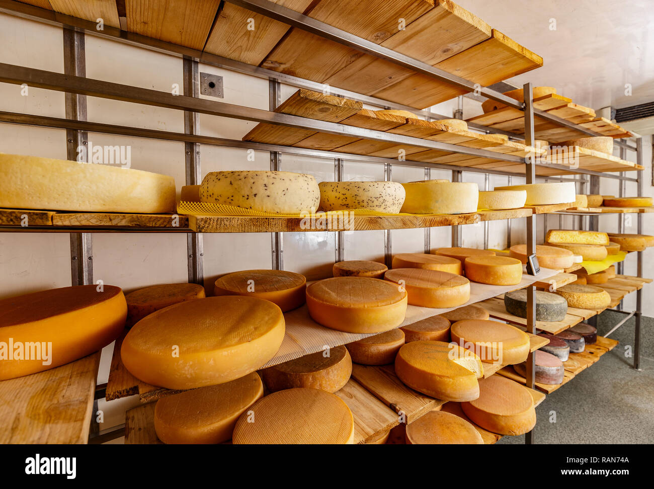 Diversi tipi di formaggio su scaffali Foto Stock