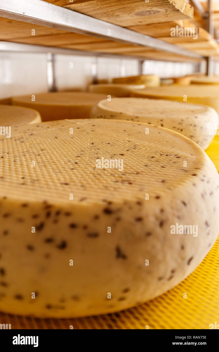 Chiusura del formaggio sugli scaffali Foto Stock