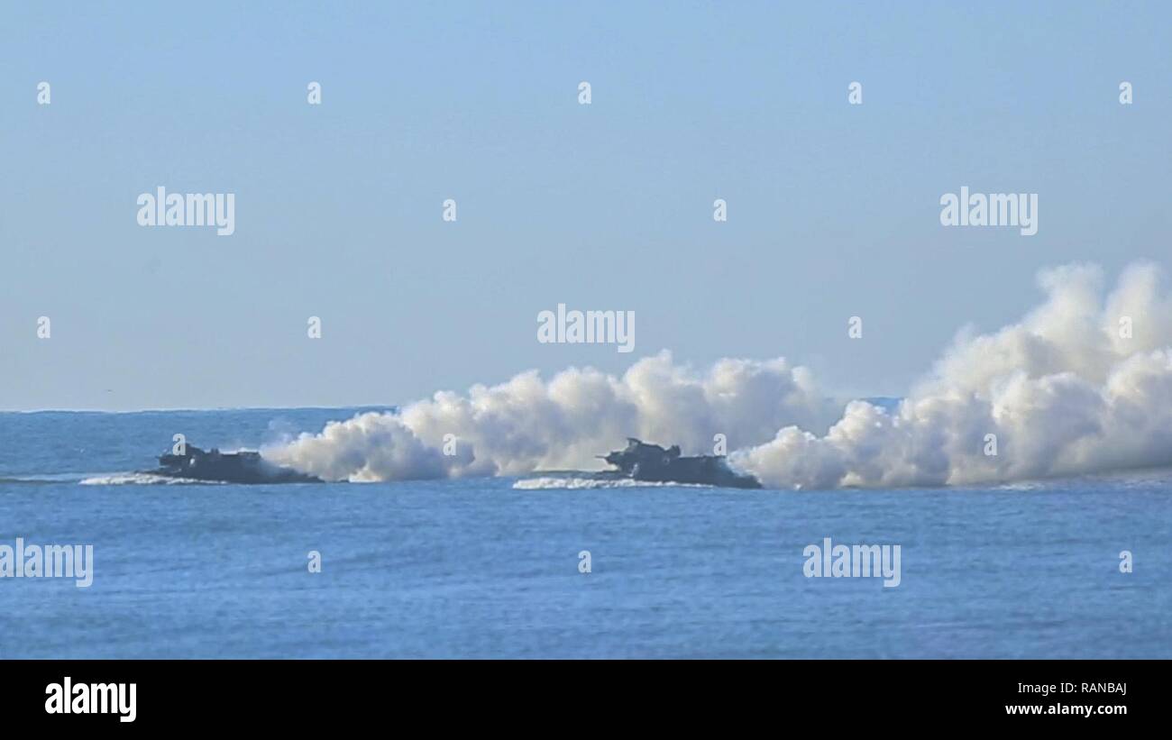 Stati Uniti Marine Amphibious Assault veicoli presidiati da Massa giapponese Self Defence Force soldati durante la fase di esercizio prima di ferro 2017 a bordo di Marine Corps base Camp Pendleton, California, 25 feb. Marines e soldati JGSDF condotto un assalto anfibio, lanciando dall'USS ancoraggio a Red Beach Area Formazione. Il pugno di ferro è un annuale, formazione bilaterale esercizio dove USA e giapponesi i membri del servizio treno insieme e condividere le tecniche, tattiche e procedura per migliorare la loro complessiva capacità operative. Foto Stock